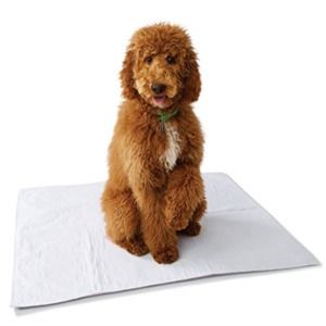 Meet your Posher, Gervasio